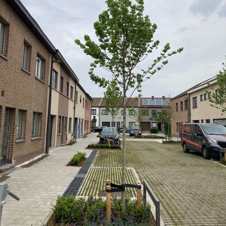 schaduwrijke bomen schaduwrijke bomen